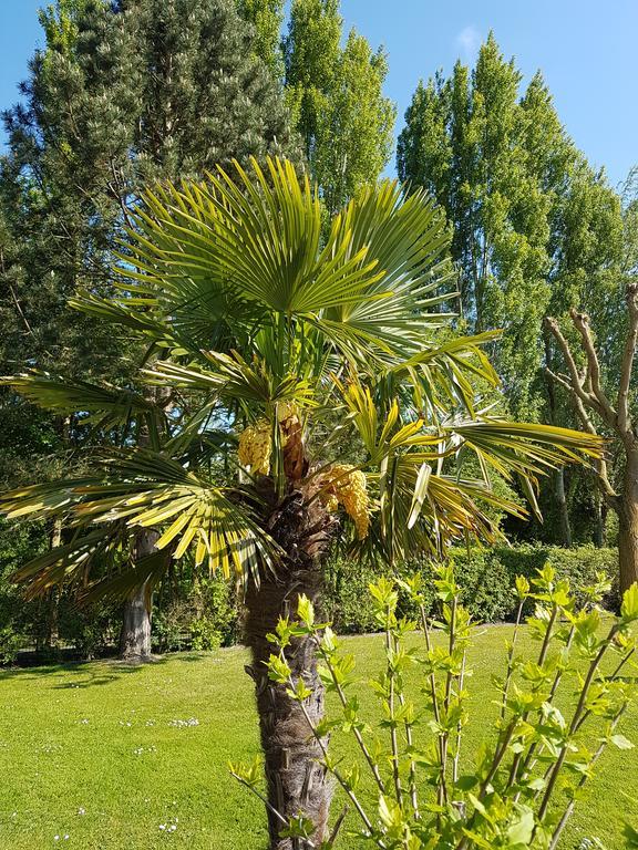 Hotel Du Golf Cabourg Bagian luar foto